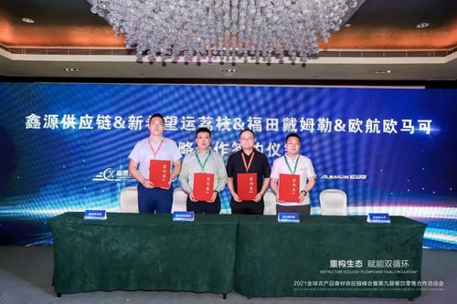 汽车接口多少(汽车接口数量及其影响,技术革新与未来发展的探讨) 汽车接口多少(汽车接口数量及其影响,技术革新与未来发展的探讨)