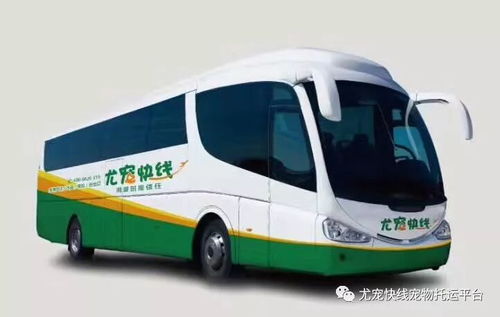 桂林到清塘汽车站多少钱(桂林到清塘汽车站的价格与行程指南) 桂林到清塘汽车站多少钱(桂林到清塘汽车站的价格与行程指南)