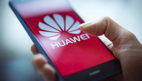 华为手机msi怎么查询 华为手机msi怎么查询