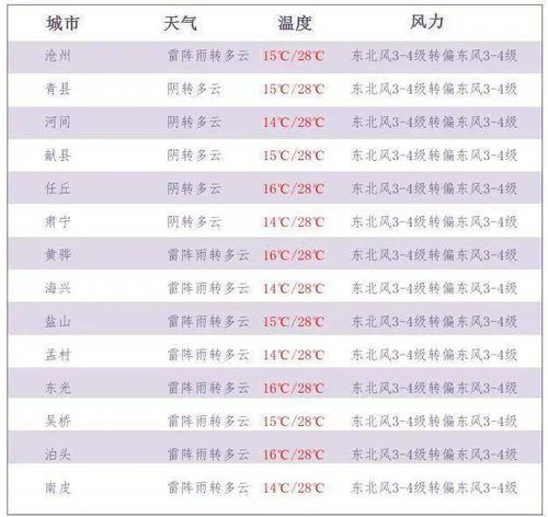 上到99下到刚会走 挪威划船庆祝爆火 上到99下到刚会走 挪威划船庆祝爆火