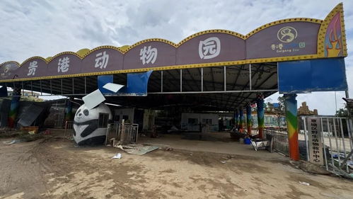 广西贵港动物园5人被困集装箱6小时 广西贵港动物园5人被困集装箱6小时